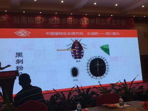 創新驅動，合作共贏 2018檳榔產業技術研討交流會之軟件開發篇